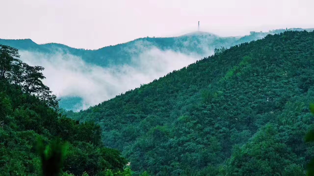 愛(ài)樂(lè)活-“炫彩青春—九如山公益登山行” 火熱招募中！