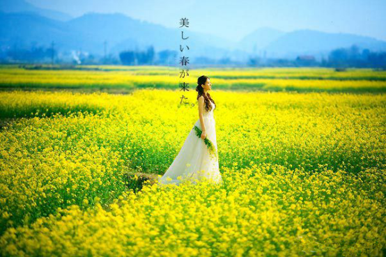 “春色江南 醉美婺源”| 潤(rùn)華汽車俱樂(lè)部—5日自駕游招募中！